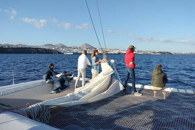 whale-dolphin-observation-on-silent-catamaran-with-hydrophone