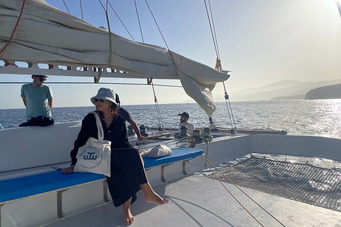 whale-dolphin-observation-on-silent-catamaran-with-hydrophone