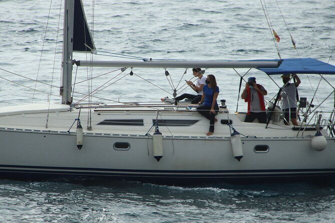 whale-dolphin-watching-boat-trip-in-tenerife-on-a-sailing-boat-3-hr