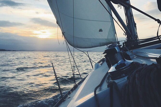 whale-dolphin-watching-boat-trip-in-tenerife-on-a-sailing-boat-3-hr