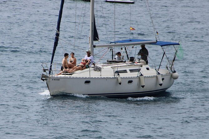 whale-dolphin-watching-boat-trip-in-tenerife-on-a-sailing-boat-3-hr