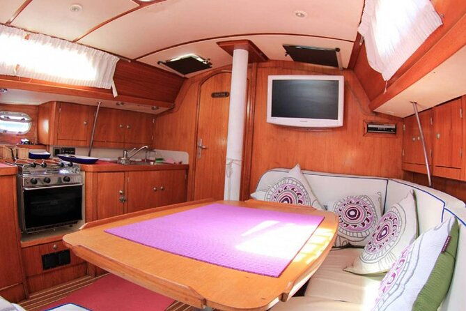 whale-dolphin-watching-boat-trip-in-tenerife-on-a-sailing-boat-3-hr