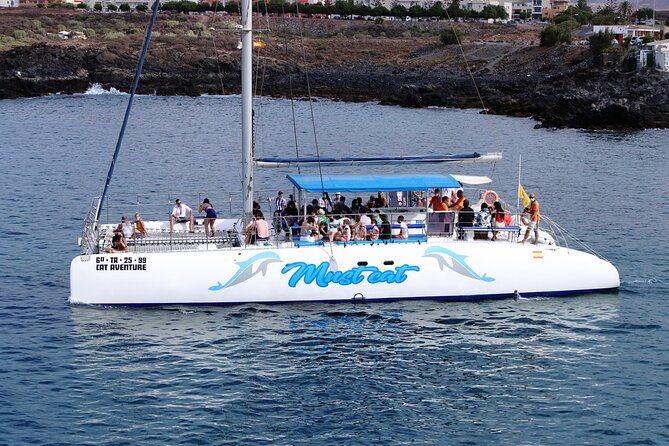 whale-dolphin-watching-with-mustcat-virgin-coast-trip-on-a-large-catamaran