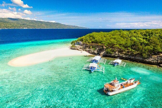 Whale Shark Encounter and Sumilon Sandbar with Kawasan Falls - An In-Depth Look at the Itinerary