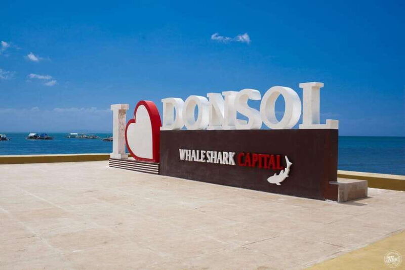 whale-shark-interaction-at-donsol-sorsogon-by-zchedulista