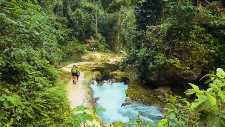 whale-shark-kawasan-canyoneering-private-joiner-tour