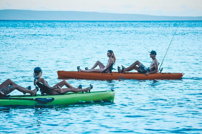 whale-watch-and-scenic-tour-from-kayak-2