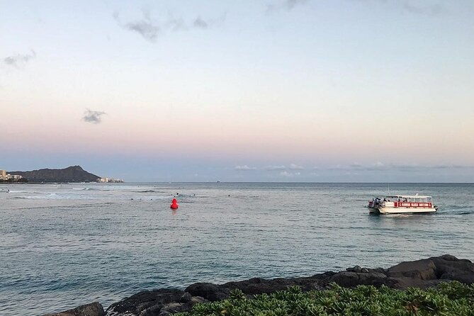 whale-watch-dolphins-turtles-and-sightseeing-cruise-2