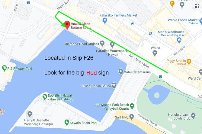 whale-watch-dolphins-turtles-and-sightseeing-cruise-2