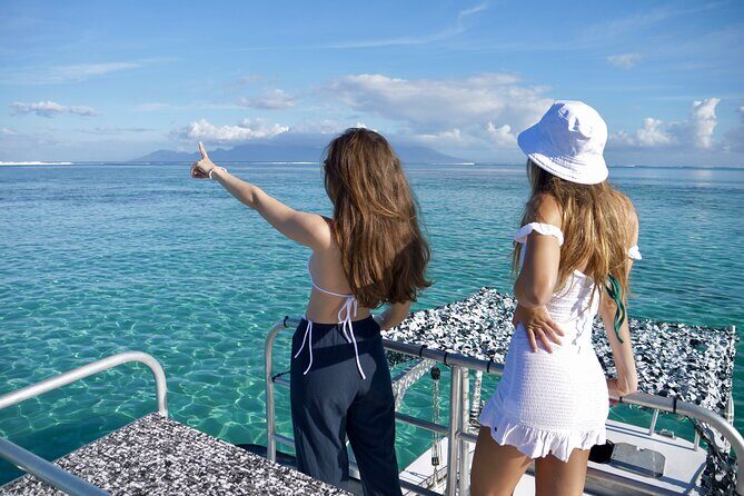 Whale Watching Activity - An In-Depth Look at the Whale Watching Experience in Tahiti