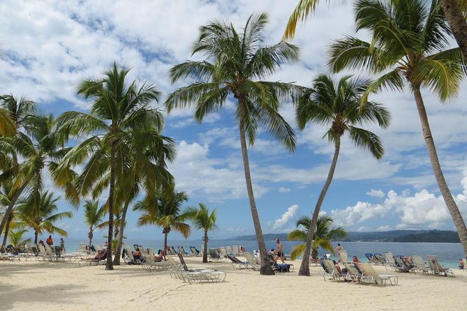 whale-watching-and-bacardi-island-day-trip-from-punta-cana