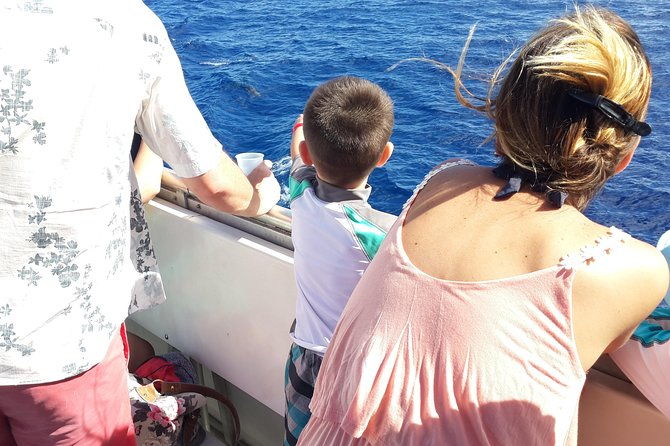 whale-watching-and-dolphin-spotting-cruise
