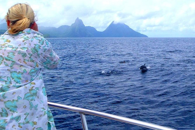 whale-watching-and-dolphin-spotting-cruise