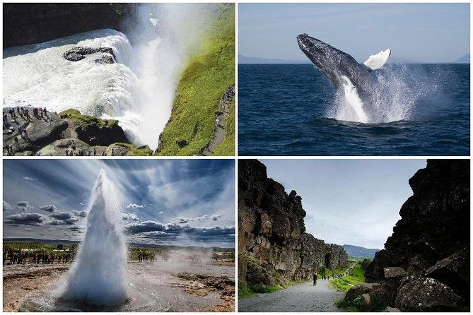 whale-watching-and-golden-circle-tour-from-reykjavik