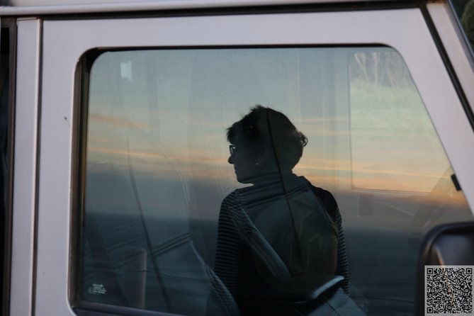 whale-watching-and-jeep-tour-2