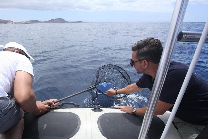 whale-watching-and-marine-science-tour