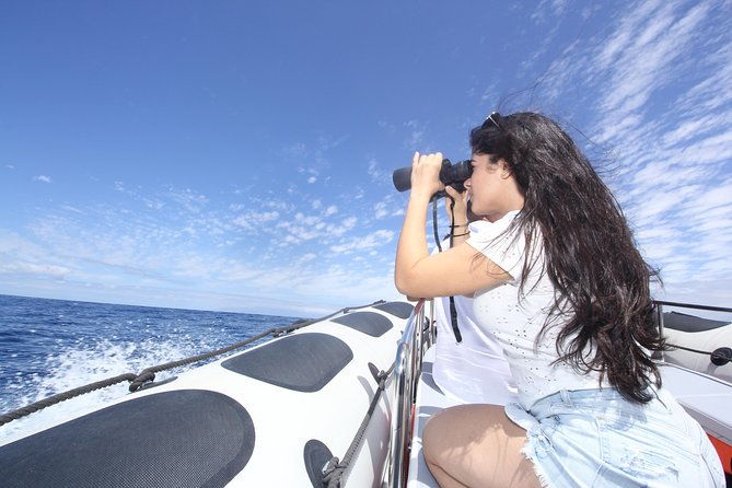 whale-watching-and-marine-science-tour
