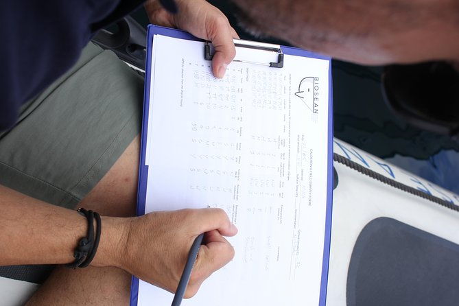 whale-watching-and-marine-science-tour