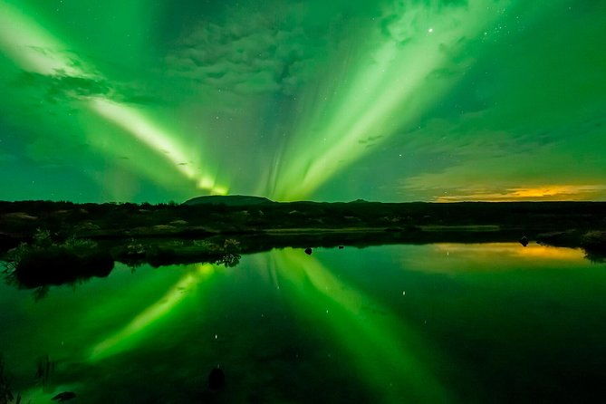 whale-watching-and-northern-lights-half-day-combo-tour