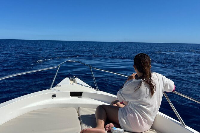 Whale Watching and Private Ocean Safari Experience in Mauritius - An In-Depth Look at the Whale Watching and Ocean Safari in Mauritius