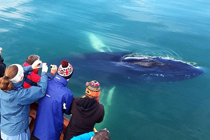 whale-watching-and-sea-angling-tour