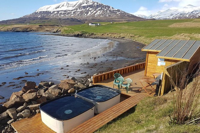 whale-watching-and-sea-angling-tour