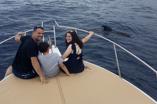 whale-watching-and-snorkelling-in-the-whale-sanctuary