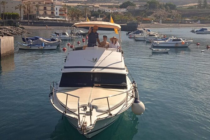 whale-watching-and-snorkelling-in-the-whale-sanctuary