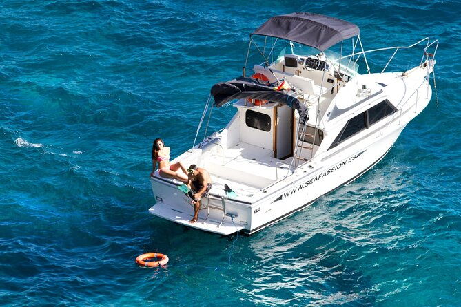 whale-watching-and-snorkelling-in-the-whale-sanctuary