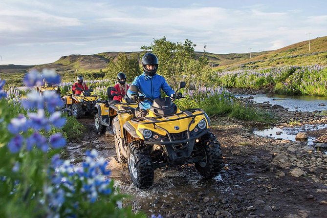 whale-watching-atv-adventure-from-reykjavik