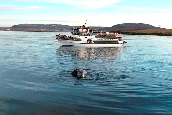 whale-watching-boat-tour-with-expert-guide-from-reykjavik