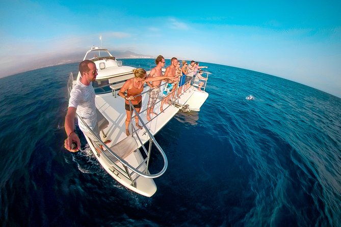 whale-watching-catamaran-cruise-with-transfer-buffet-by-mc