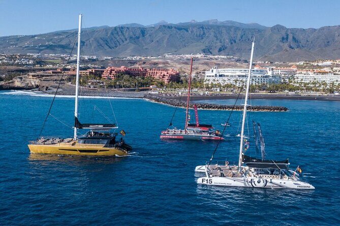 Whale Watching Catamaran in Costa Adeje (Including drinks & Sandwich) - Frequently Asked Questions