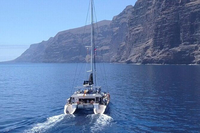 whale-watching-catamaran-to-los-gigantes-masca-including-drinks-warm-lunch-2