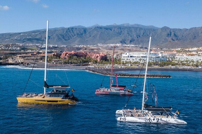 whale-watching-catamaran-to-los-gigantes-masca-including-drinks-warm-lunch