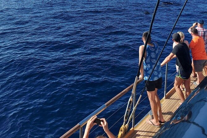 whale-watching-catamaran-to-los-gigantes-masca-including-drinks-warm-lunch