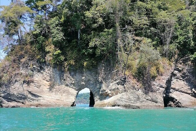 whale-watching-combo-tour-marino-ballena-national-park-mid-day