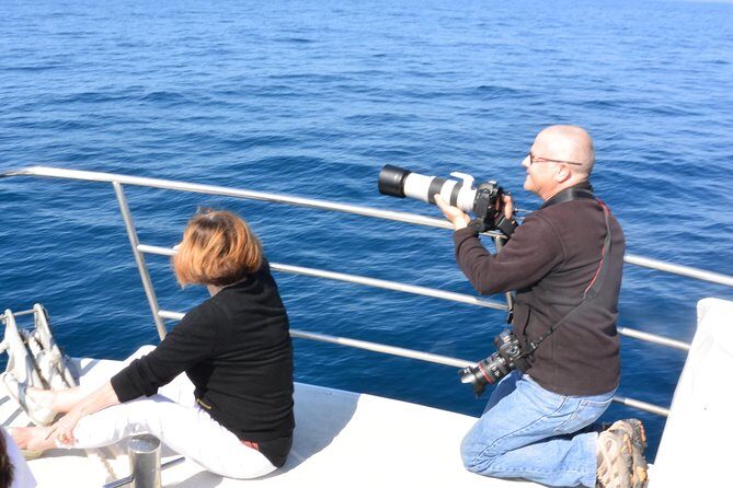 Whale Watching Cruise from Mooloolaba - FAQs