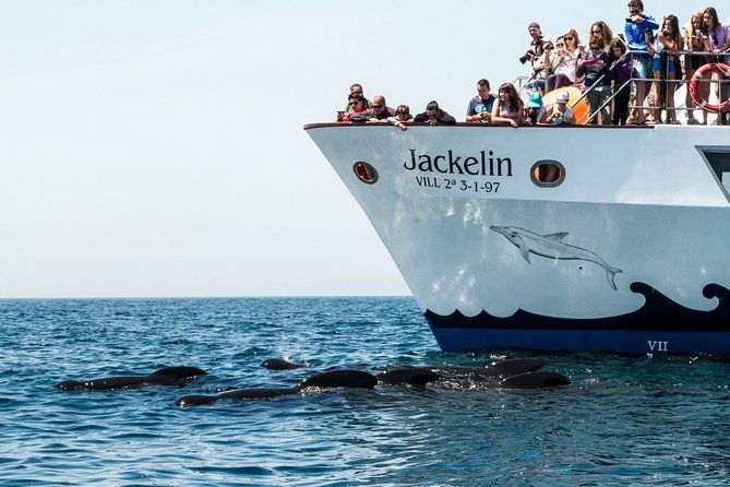 whale-watching