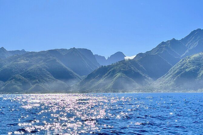 Whale watching DE Humpback West Coast of Tahiti - Who Will Love This Experience?
