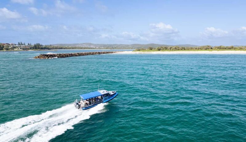 Whale Watching Discovery Tour from Lake Macquarie - The Itinerary: What to Expect on the Water