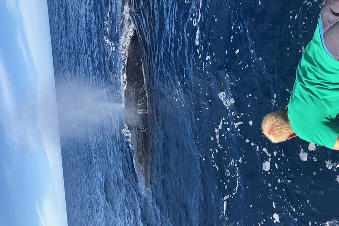 Whale Watching Experience - FAQs