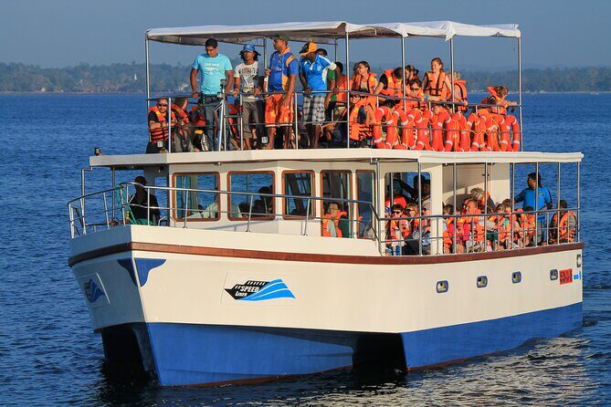 Whale Watching from Ahungalla on Shared Boat - The Itinerary: What to Expect on the Day