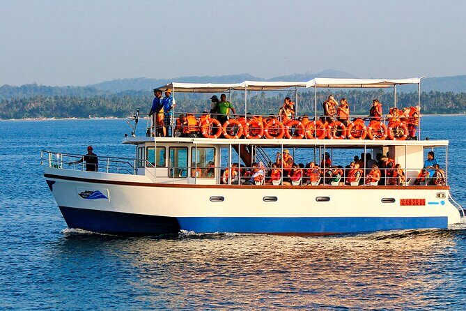 Whale Watching from Galle on Shared Boat - An In-Depth Look at the Whale Watching Tour from Galle