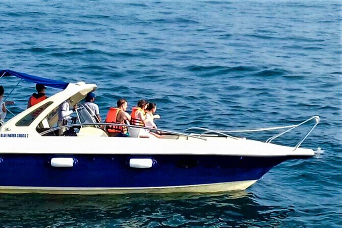 Whale Watching from Koggala on Shared Boat - An In-Depth Look at the Whale Watching Experience