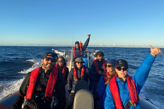 Whale Watching Gold Coast - FAQ