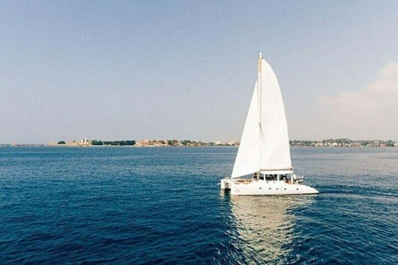 Whale Watching in a yacht in Trincomalee - What To Expect from the Whale Watching Yacht Tour