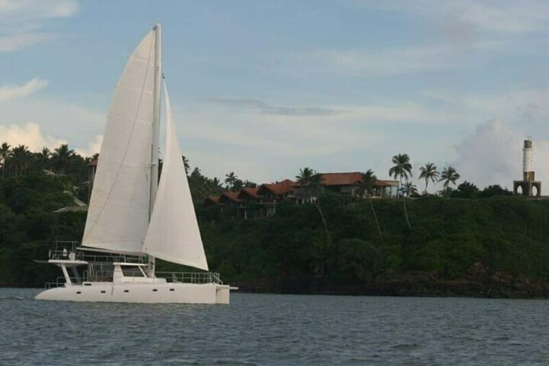 Whale Watching in a yacht in Trincomalee - Practical Tips and Considerations