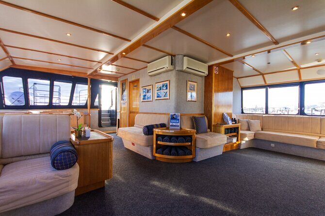 Whale Watching in Augusta Humpback and Southern Right Whales - What Makes This Tour Special?