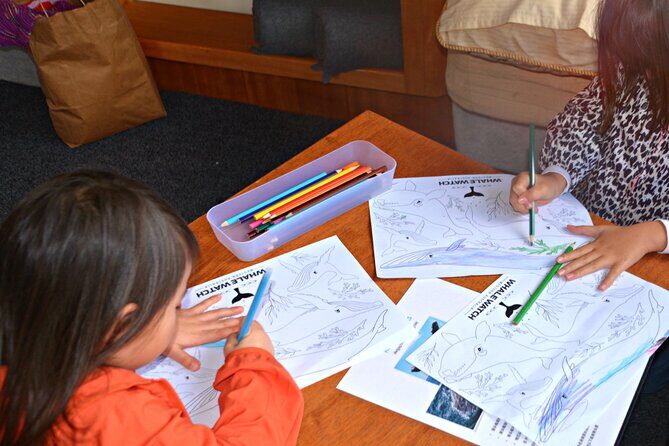 Whale Watching in Augusta Humpback and Southern Right Whales - The Sum Up